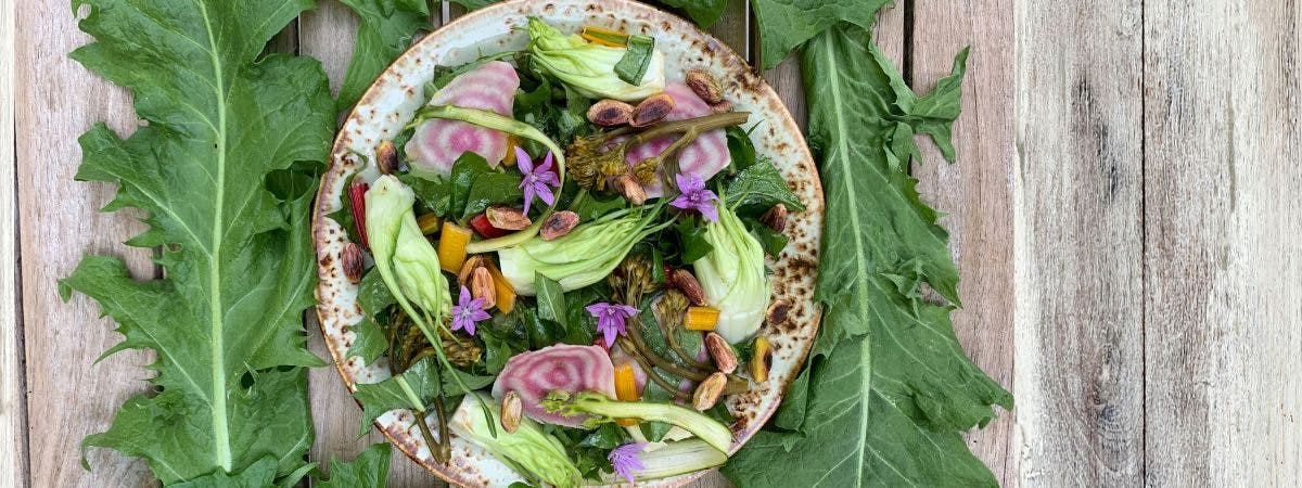 The Beauty Daily Summer Salad Recipe