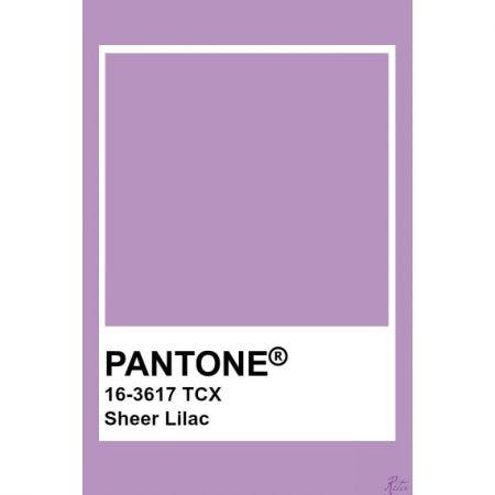Pantone sheer lilac 