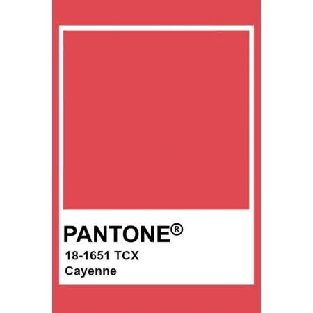 Pantone Cayenne 