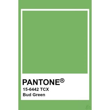 Pantone Bud Green 