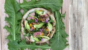 The Beauty Daily Summer Salad Recipe